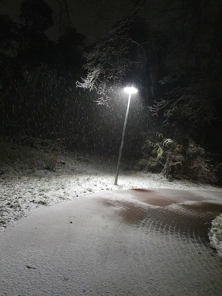 W Rawiczu spadł dziś (28.11.2021) pierwszy w tym sezonie śnieg! Zobacz zdjęcia, które otrzymaliśmy od naszych Czytelników 