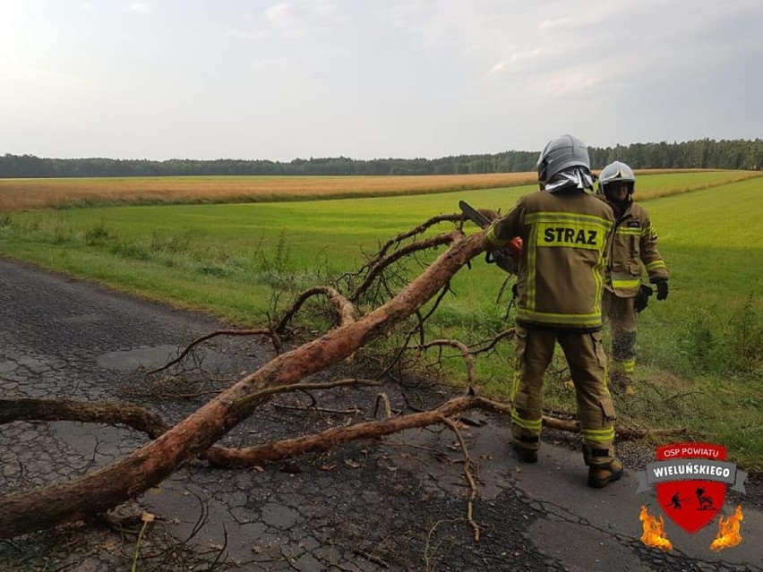 Burza spowodowała niewielkie szkody w powiecie wieluńskim. Strażacy usuwali cztery drzewa powalone na drogi