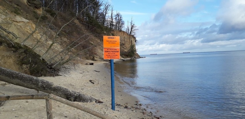 Na klifie w Gdyni Orłowie możliwe są kolejne osuwiska. Spacerowicze, którzy lekceważą tablice ostrzegawcze, wchodzą tam na własne ryzyko