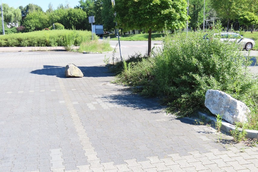 Tak dziś wygląda centrum handlowe Auchana przy ulicy...