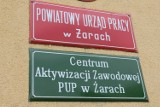 Bezrobocie w Żarach. Powiatowy Urząd Pracy podał dane za czerwiec