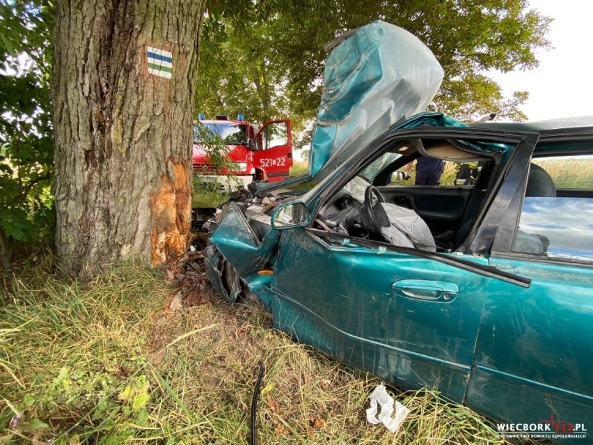 Na trasie Komierówko-Sępólno mazda uderzyła w drzewo....