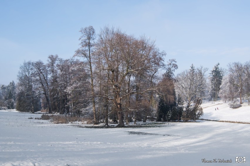 Gołuchów. Zamek i park zimą w obiektywie Romana Urbaniaka. Jest jak w bajce!