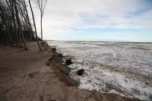 Nadia nie oszczędziła Orzechowa. Całkiem zniszczona plaża, z wody wystają kikuty zwalonych drzew. Widok jest porażający