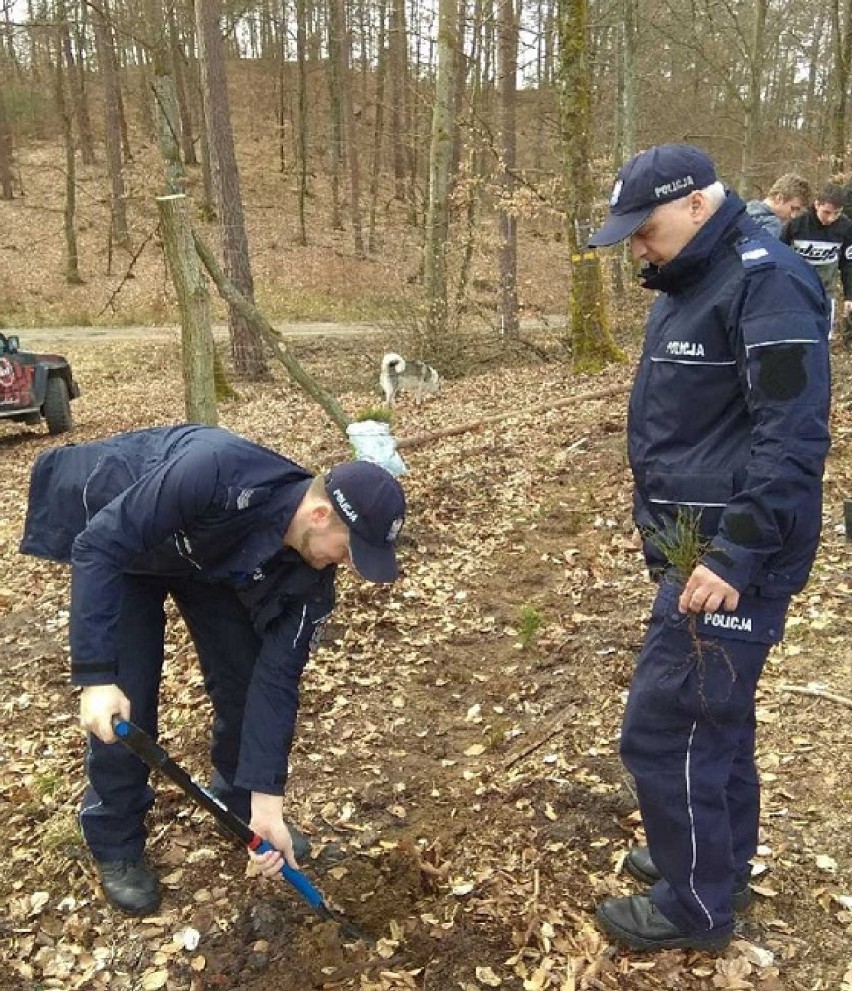 Policjanci z lęborskiej komendy sadzili drzewa w lesie [ZDJĘCIA]