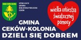 Finał WOŚP 2020. Wielka Orkiestra Świątecznej Pomocy zagra w gminie Ceków-Kolonia