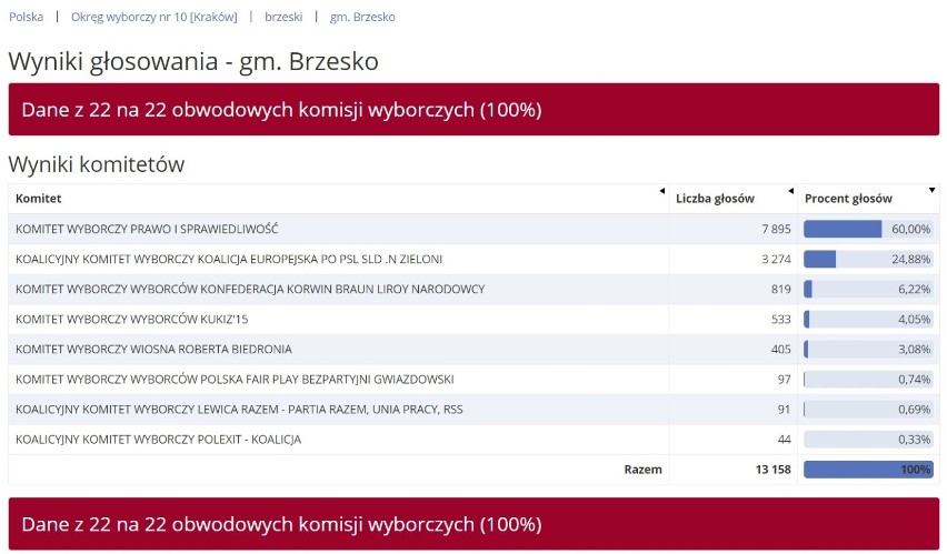 Ostateczne wyniki wyborów do europarlamentu - powiat brzeski. Jak głosowano w poszczególnych gminach?