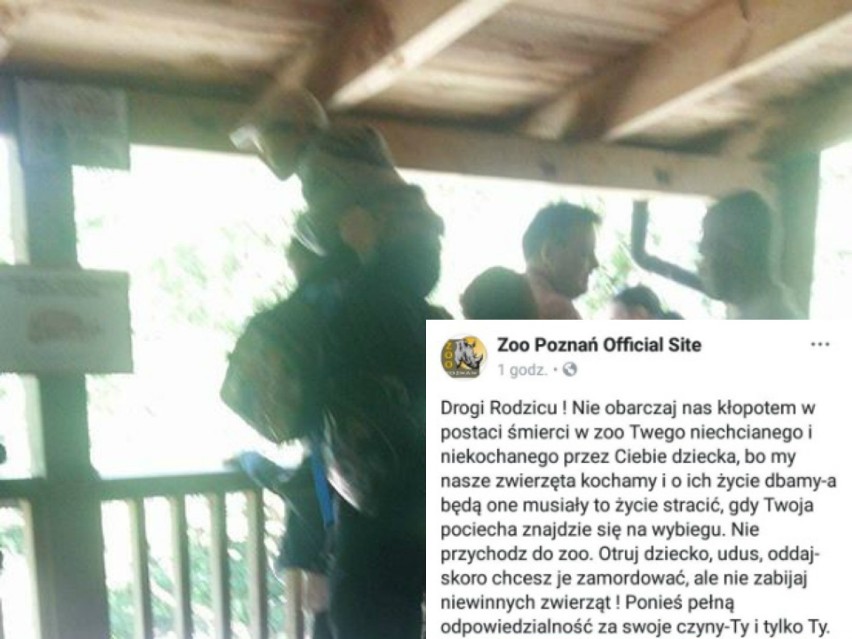 Zoo Poznań na facebooku: Rodzicu! Nie obarczaj nas kłopotem...