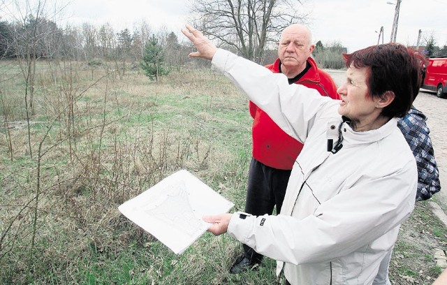 -&nbsp;Wycięto nam kilka hektarów lasu bez jakiegokolwiek zezwolenia - żali się Helena Kamińska.