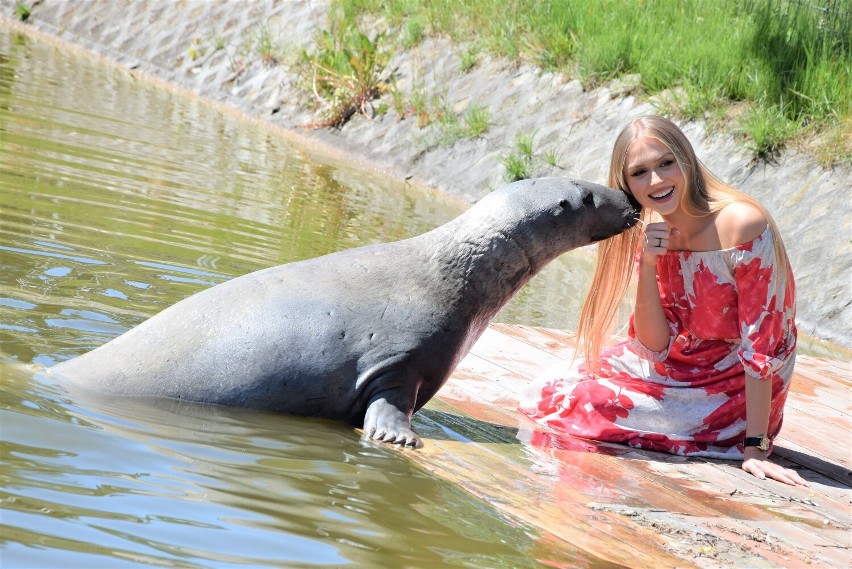 W fotograficznej sesji zorganizowanej na terenie Zoo Borysew...