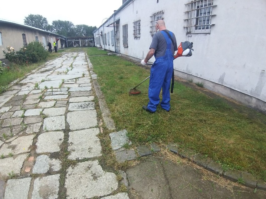 Dziesięciu więźniów z Zakładu Karnego w Stargardzie zdobywa zawód ogrodnika