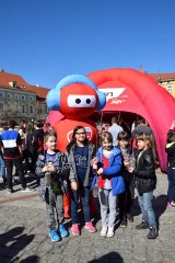 Radio Zet w Gnieźnie rozdaje dęby [FOTO]