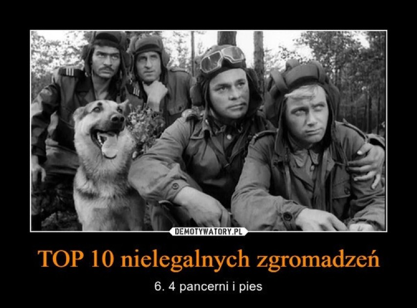 TOP 10 nielegalnych zgromadzeń: takie memy zaczęli tworzyć...