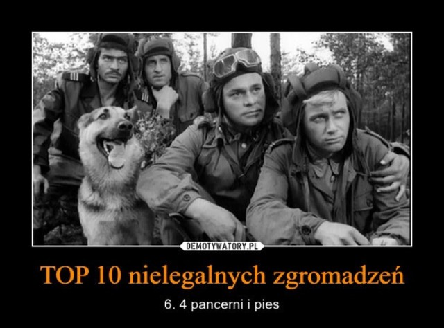 TOP 10 nielegalnych zgromadzeń: takie memy zaczęli tworzyć internauci po tym, jak w Polsce wprowadzono nowe obostrzenia w związku z epidemią koronawirusa, ograniczając możliwość poruszania się i zabraniając spotykania się w grupach większych niż dwie osoby (nie dotyczy to rodzin). 

Chociaż nie ma wątpliwości co do tego, że ograniczenia mające na celu spowolnienie epidemii są słuszne i większość osób rozumie je i ich przestrzega, to jednak sama pandemia koronawirusa budzi w nas lęk - dlatego też część z nas tworzy memy, by choć trochę rozładować napięcie. 

Zachowanie zdrowego rozsądku i stosowanie się do zasad bezpieczeństwa jest ważne, gdy koronawirus wciąż zakaża kolejne osoby, ale dla zdrowia psychicznego nie warto w tym czasie rezygnować z poczucia humoru. Zobacz nieco absurdalne memy z TOP 10 nielegalnych zgromadzeń w dobie koronawirusa!