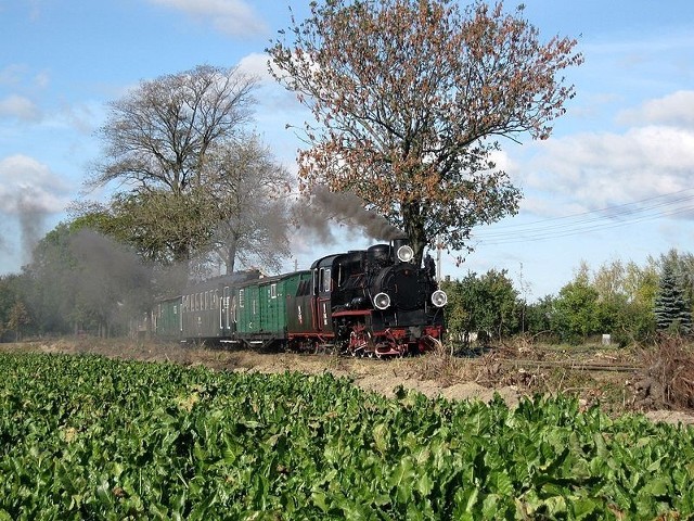 PX48-1919 wjeżdża do Witkowa, pociąg specjalny na zakończenie sezonu turystycznego, październik 2011
