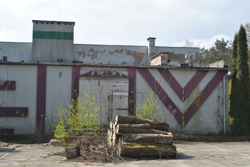 Opuszczony budynek dawnego klubu "Paka Karpicko"