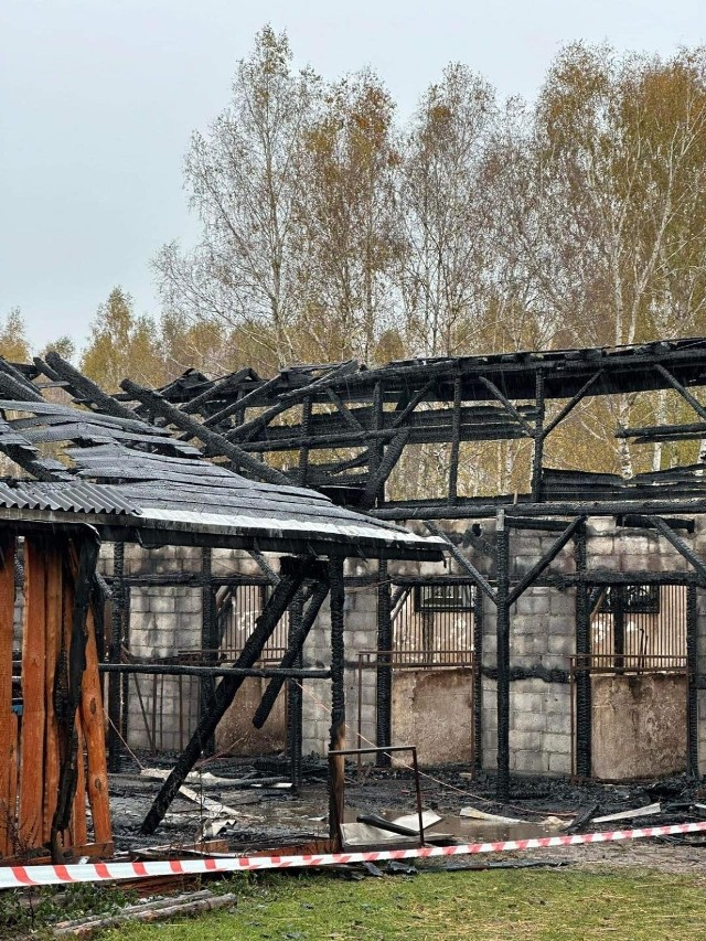 Pożar stajni - zdjęcia obiektu po akcji strażaków.