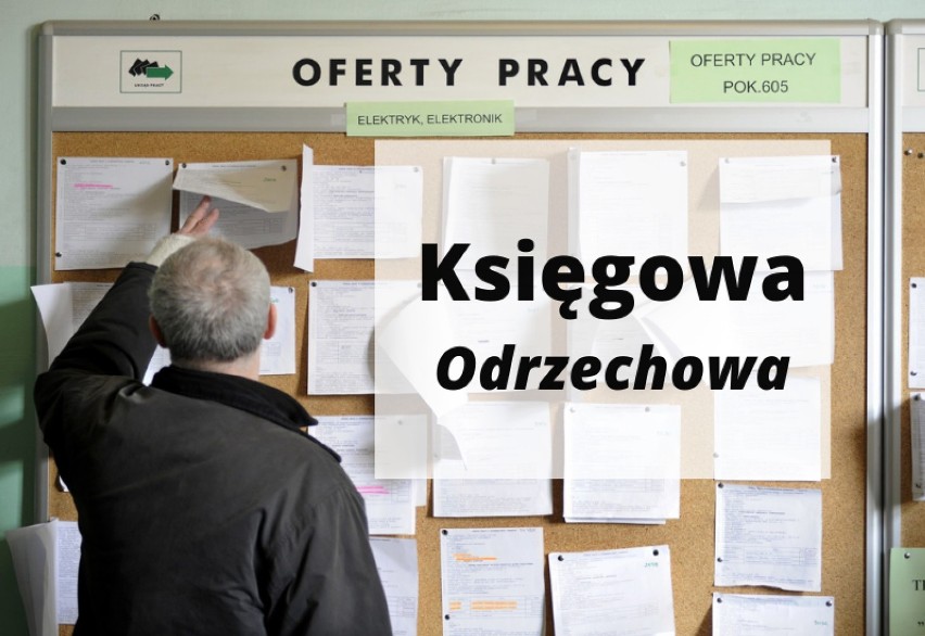 Zakres obowiązków:
Rachunkowa i formalna kontrola dokumentów...