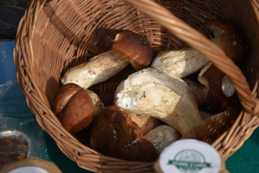 Grzybobranie w Kartuskiem trwa, a ceny grzybów nie szokują tak, jak w innych rejonach kraju 