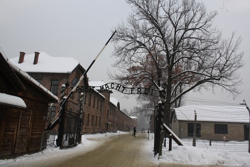 Królowie i prezydenci na obchodzach wyzwolenia obozu Auschwitz - Birkenau