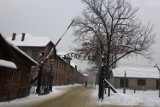 Królowie i prezydenci na obchodzach wyzwolenia obozu Auschwitz - Birkenau