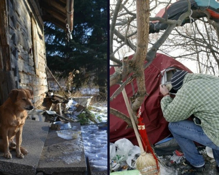 Mrozy nie odpuszczają! Zimą nie bądź obojętny na los bezdomnych ludzi i zwierząt. Gdzie udać się po pomoc w Jarosławiu?