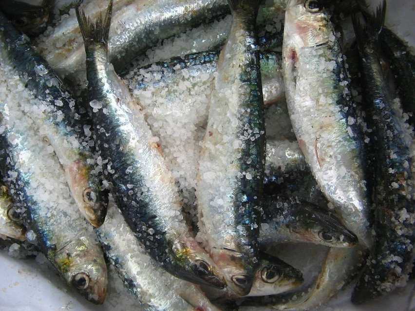 24 kwietnia: Ponad 100 ton przeterminowanych mrożonych ryb...