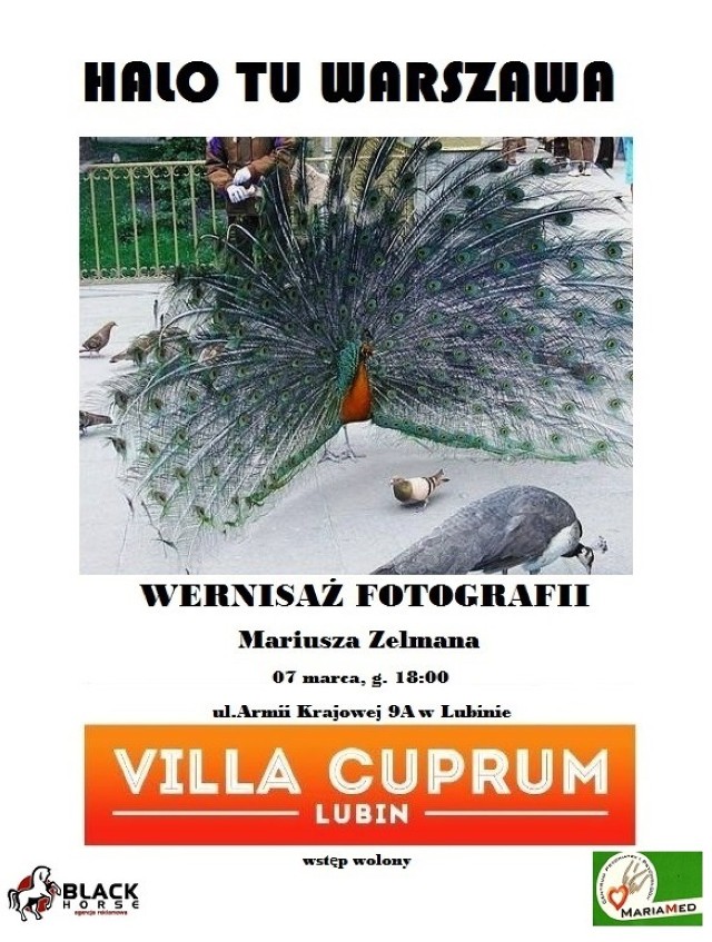 Villa Cuprum Lubin zaprasza na wernisaż wystawy prac lubinianina - Mariusza Zelmana