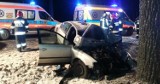 Wypadek koło Stęszewa – dwie osoby zostały ranne [zdjęcia]