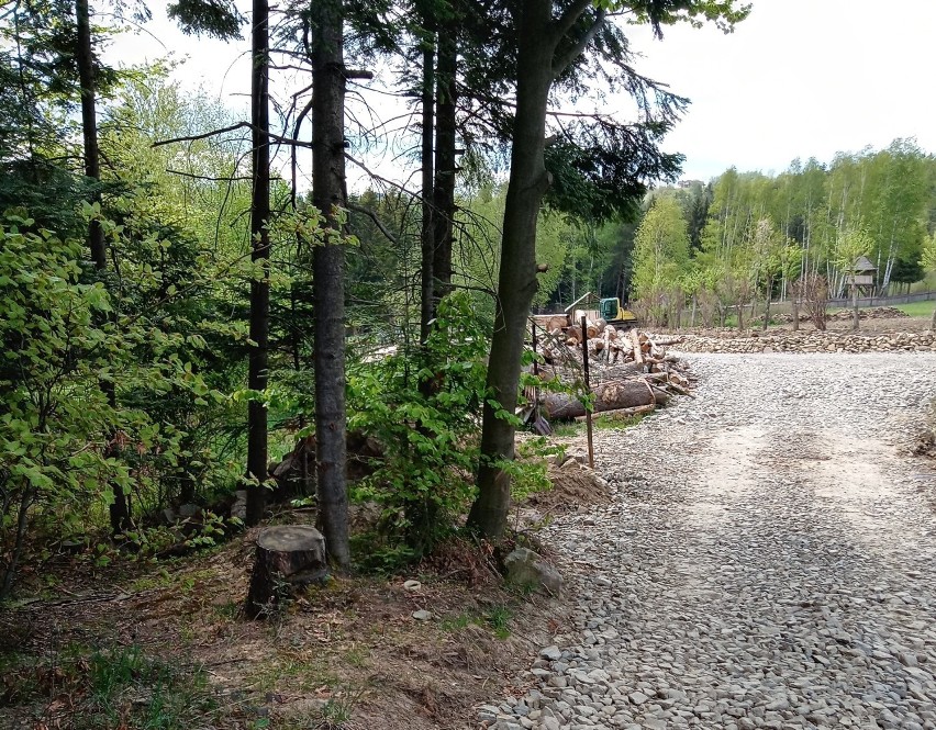 Otoczenie pustelni Piotra Natanka, zdjęcia z kwietnia i maja...