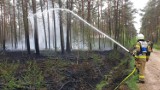 Gmina Chocz. Znów palił się las w Józefowie. Strażacy interweniowali w tej miejscowości drugi dzień z rzędu