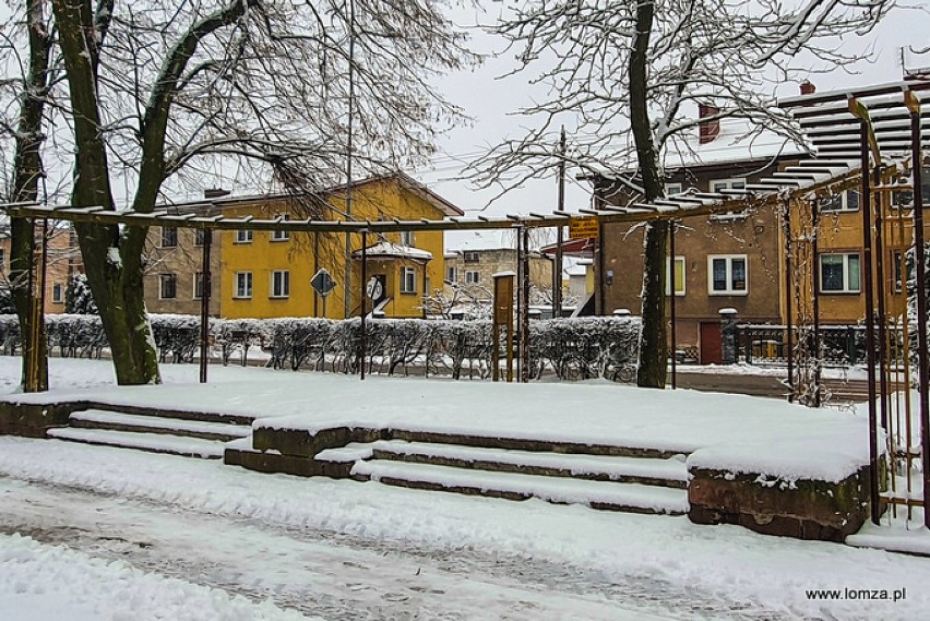 Masz pomysł na najstarszy park w Łomży? Ratusz czeka na propozycje