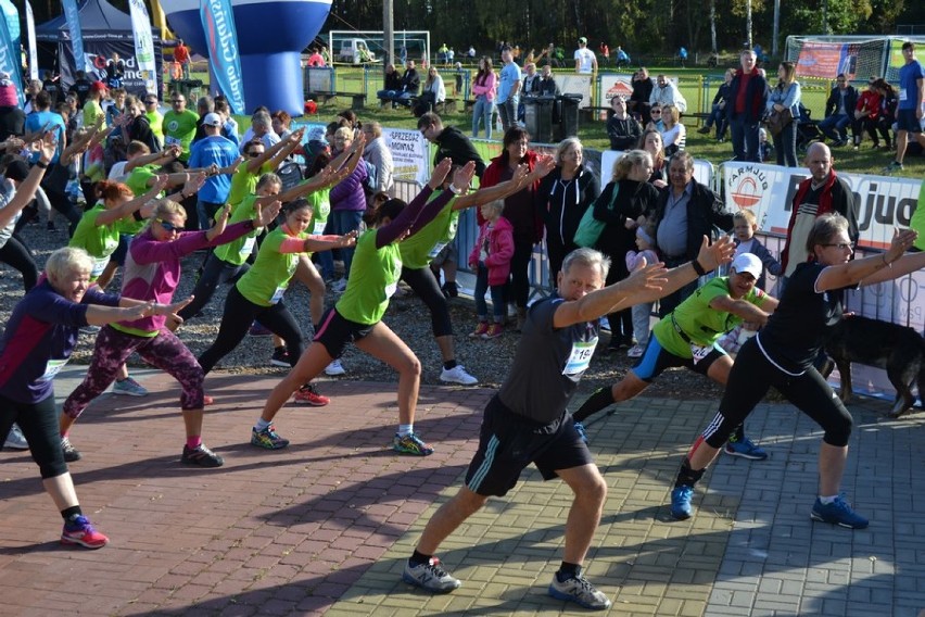 Bieg Arasmusa 2016 - sportowa inauguracja 775-lecia...