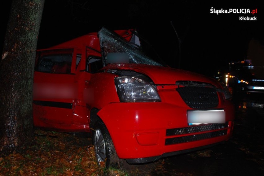 Waleńczów: 36-letni kierowca kia uderzył w drzewo FOTO