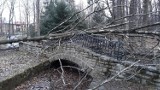 Wichura zniszczyła Park Habsburgów. Straty w drzewostanie są ogromne [ZDJĘCIA]