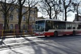 W Pruszczu Gdańskim będzie druga darmowa linia autobusowa. 307 będzie jeździł od 2 kwietnia