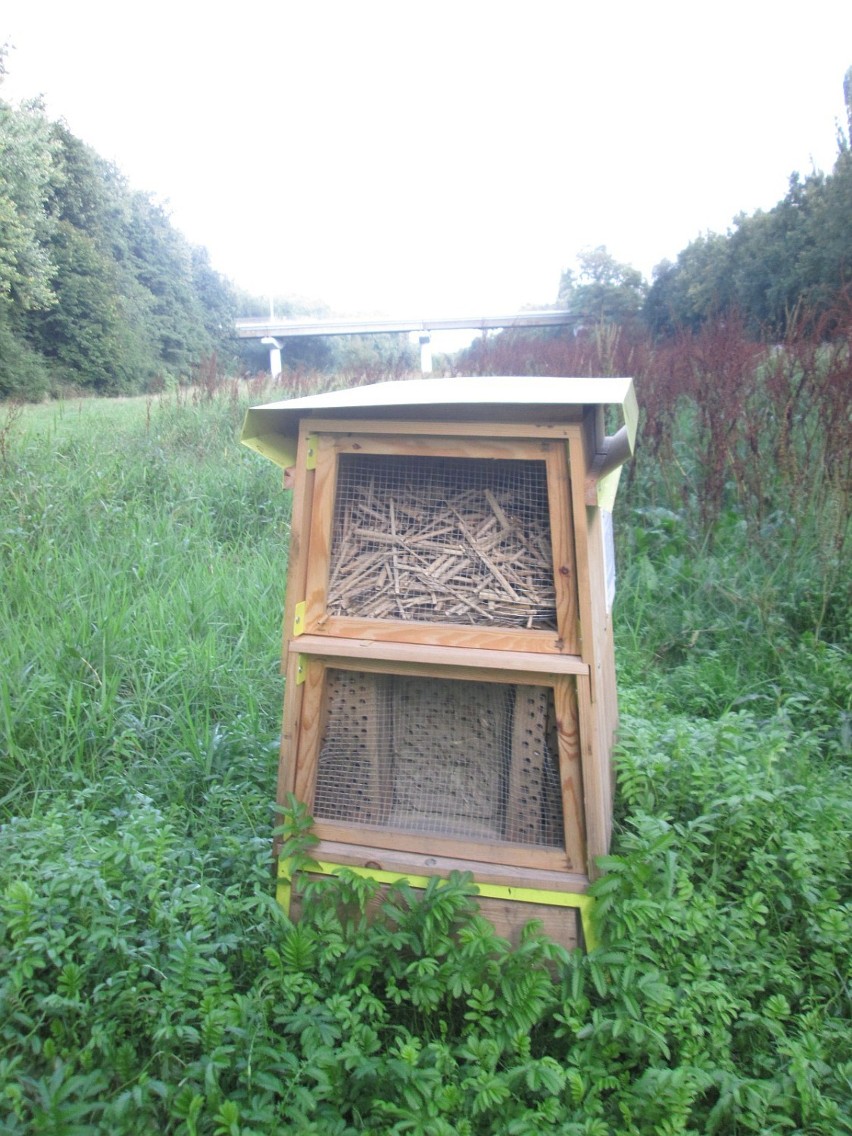 Domki dla pszczół w parku Wodziczki w Poznaniu