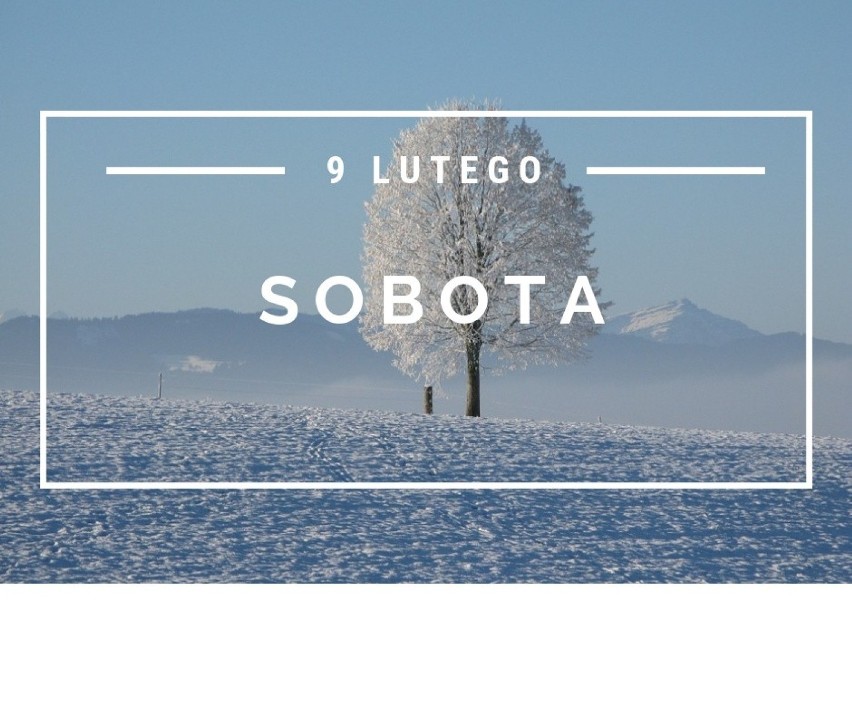 Sobota, 9 lutego 2019
Temperatura w dzień 8 st....