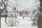 Dziś w Jeleniej Górze może pojawić się pierwszy śnieg. Opady zapowiadane po południu i wieczorem