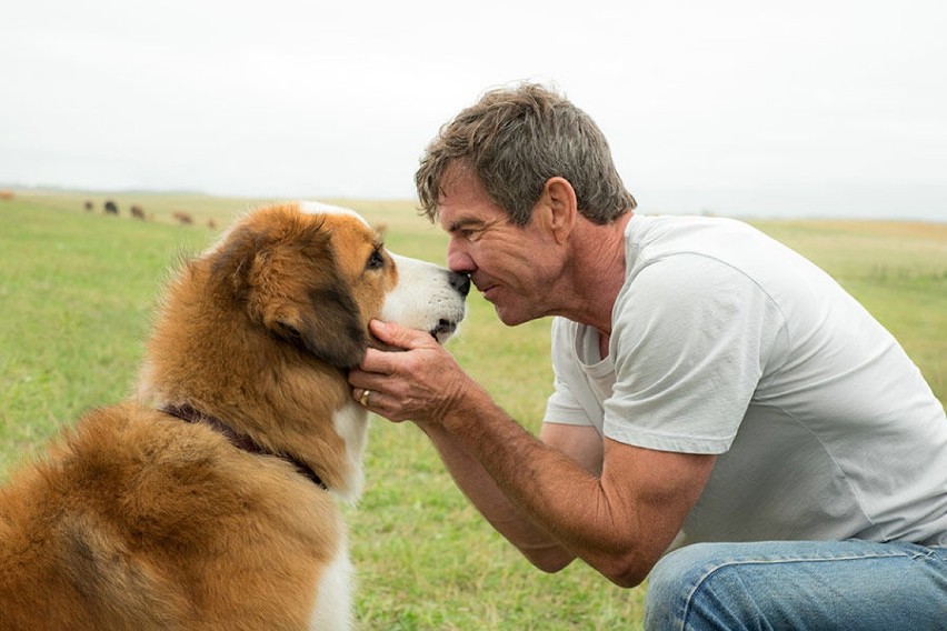 Dennis Quaid z psem w finałowej scenie filmu.