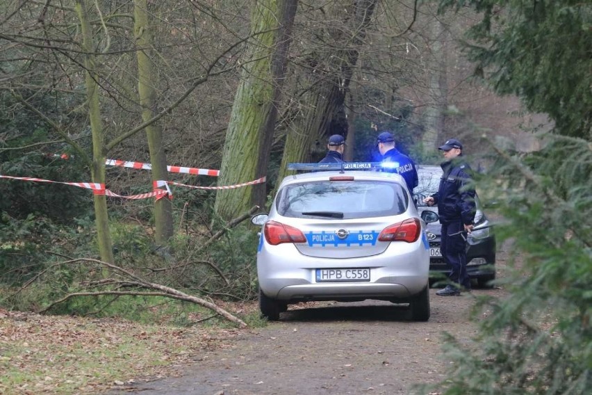 Wrocław. Człowiek zginął w pożarze w parku Szczytnickim. Jak do tego doszło?