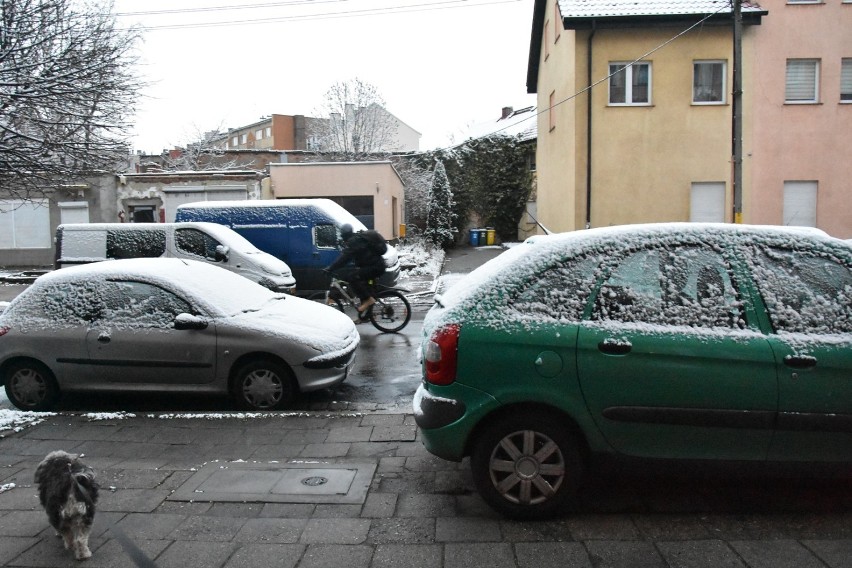 Spadł pierwszy śnieg tej zimy w Legnicy [ZDJĘCIA]