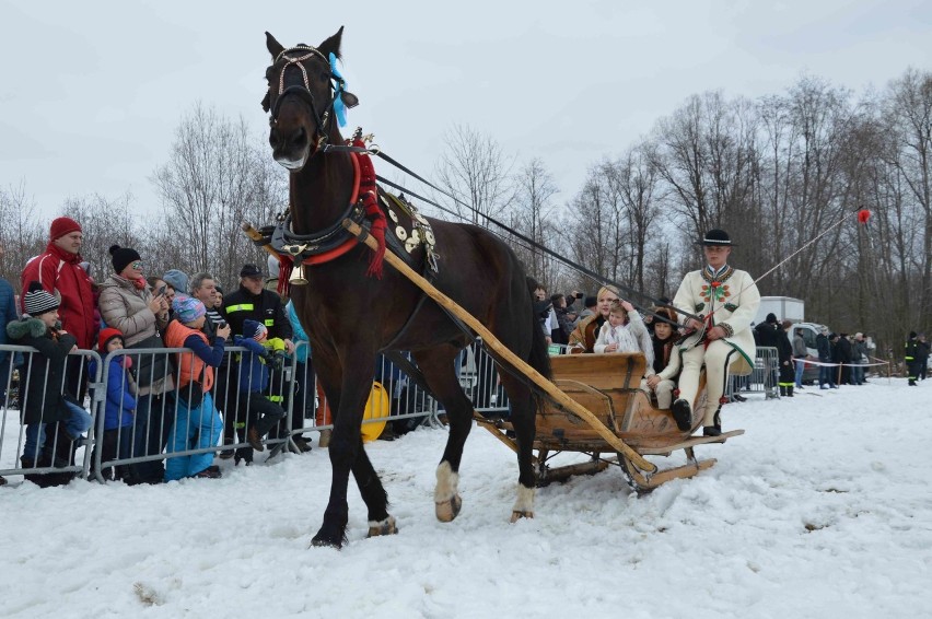 Biały Dunajec. Górale bawili się na Paradzie Gazdowskiej [ZDJĘCIA]