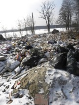 Nasz ekologiczny patrol - Przy zalewisku na ul. Bielszowickiej rośnie sterta śmieci