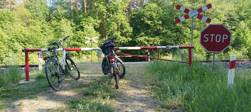 Przejazd znajduje się na trasie szlaku niebieskiego...