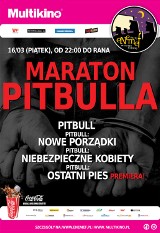 ENEMEF: Maraton Pitbulla w bydgoskim Multikinie. Rozdajmy darmowe bilety! [konkurs]