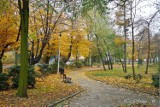 Jesień na zdjęciach Romana Kazimierza Urbaniaka z Pleszewa