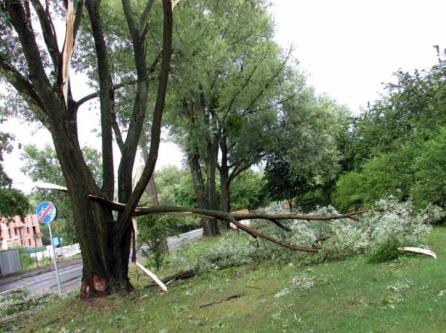 Wielkopolska: IMGW ostrzega przed silnym wiatrem w nocy