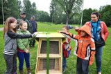Hotel dla owadów: Do swoich domków pszczoły wprowadzą się jeszce w czerwcu 
