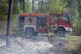 Pożar lasu w okolicy Pustyni Błędowskiej. W akcji strażacy i samolot gaśniczy Dromader